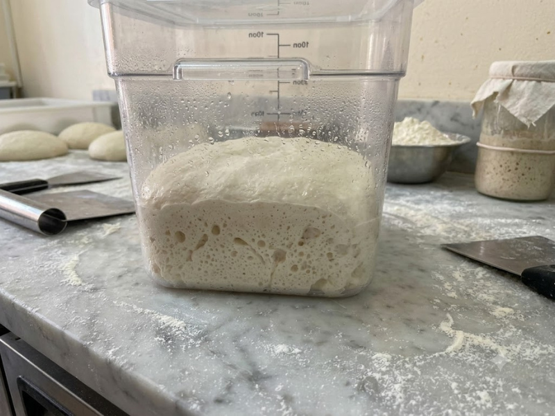 Massa de pizza Mamãe Receitas em processo de fermentação